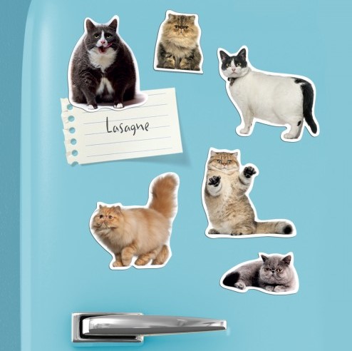 Fat Cat Magnets